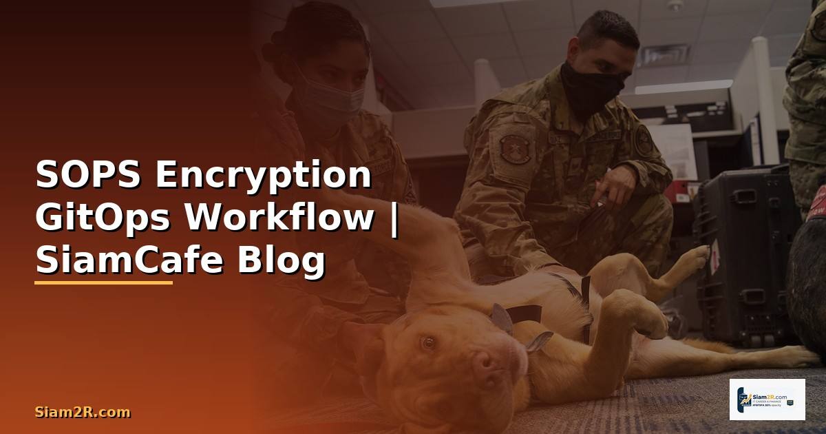 SOPS Encryption GitOps Workflow