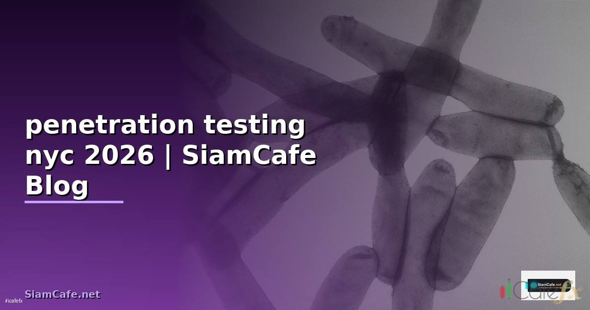 penetration testing nyc