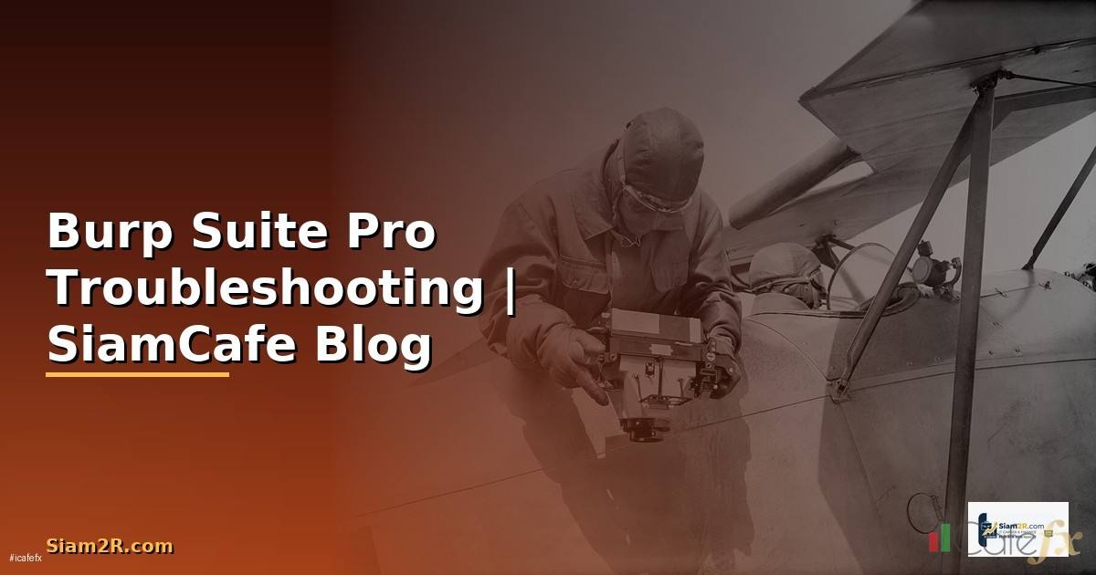 Burp Suite Pro Troubleshooting แก้ปัญหา