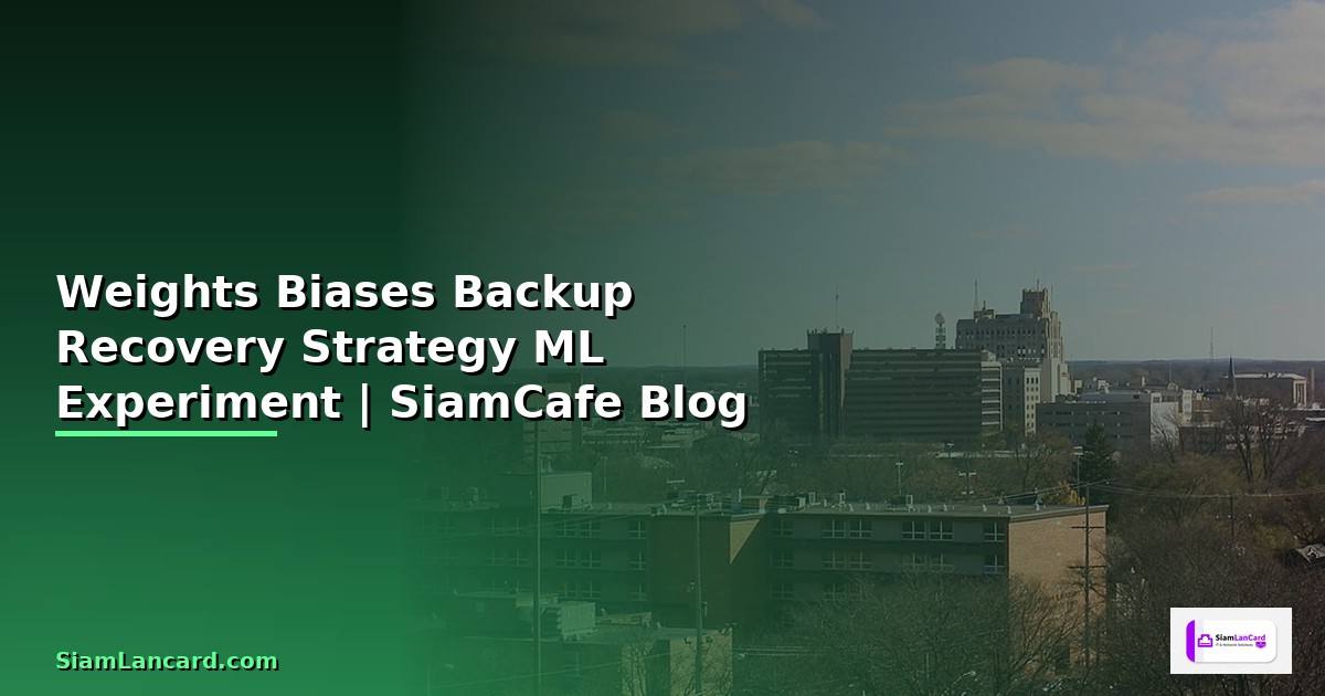 Weights Biases Backup Recovery Strategy —