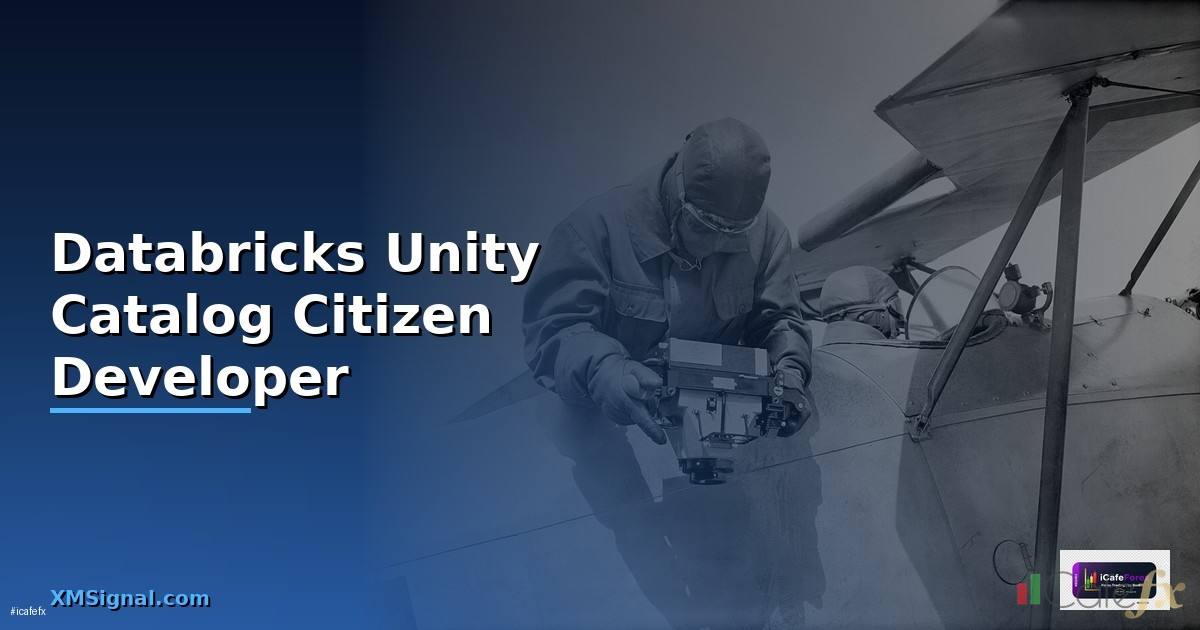 Databricks Unity Catalog Citizen Developer —