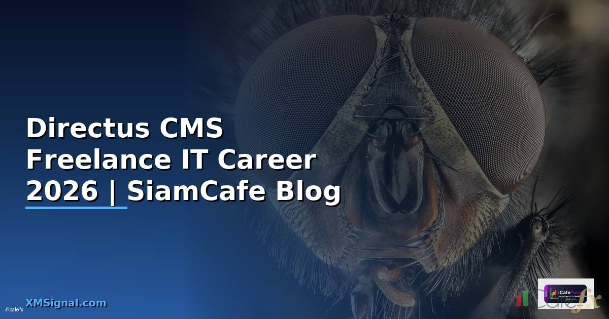 Directus CMS Freelance IT Career