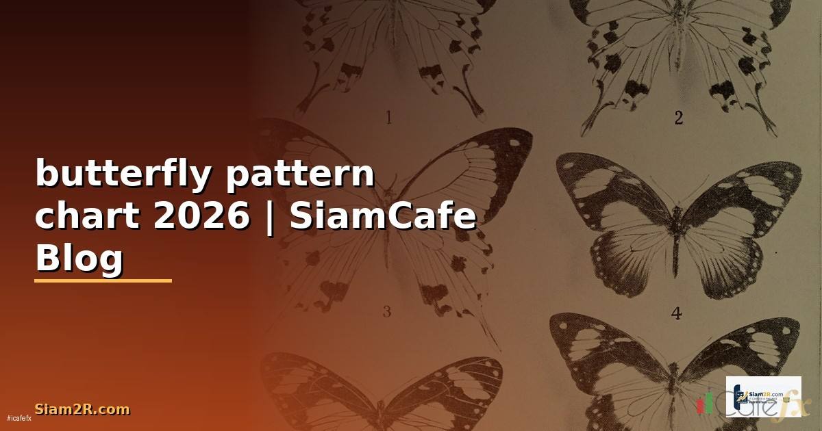 butterfly pattern chart