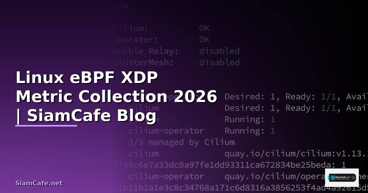 Linux eBPF XDP Metric Collection