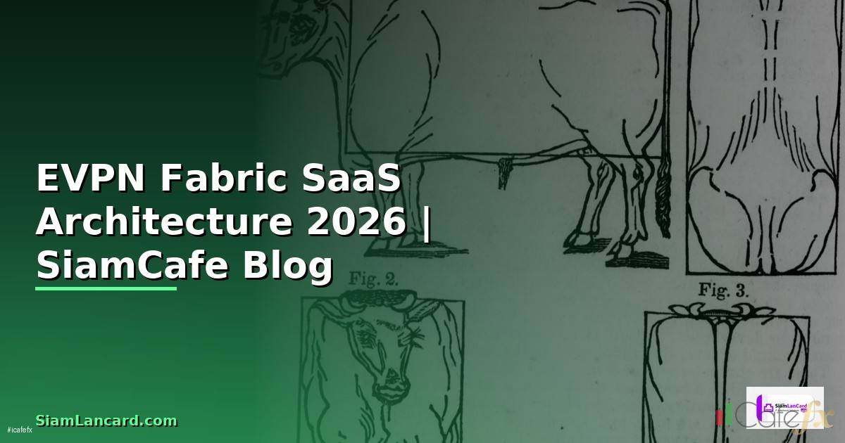 EVPN Fabric SaaS Architecture