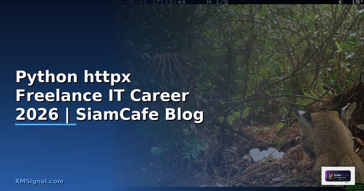 Python httpx Freelance IT Career