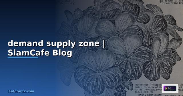 หนังสือ demand supply zone
