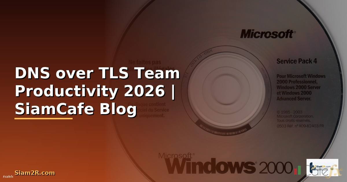 DNS over TLS Team Productivity