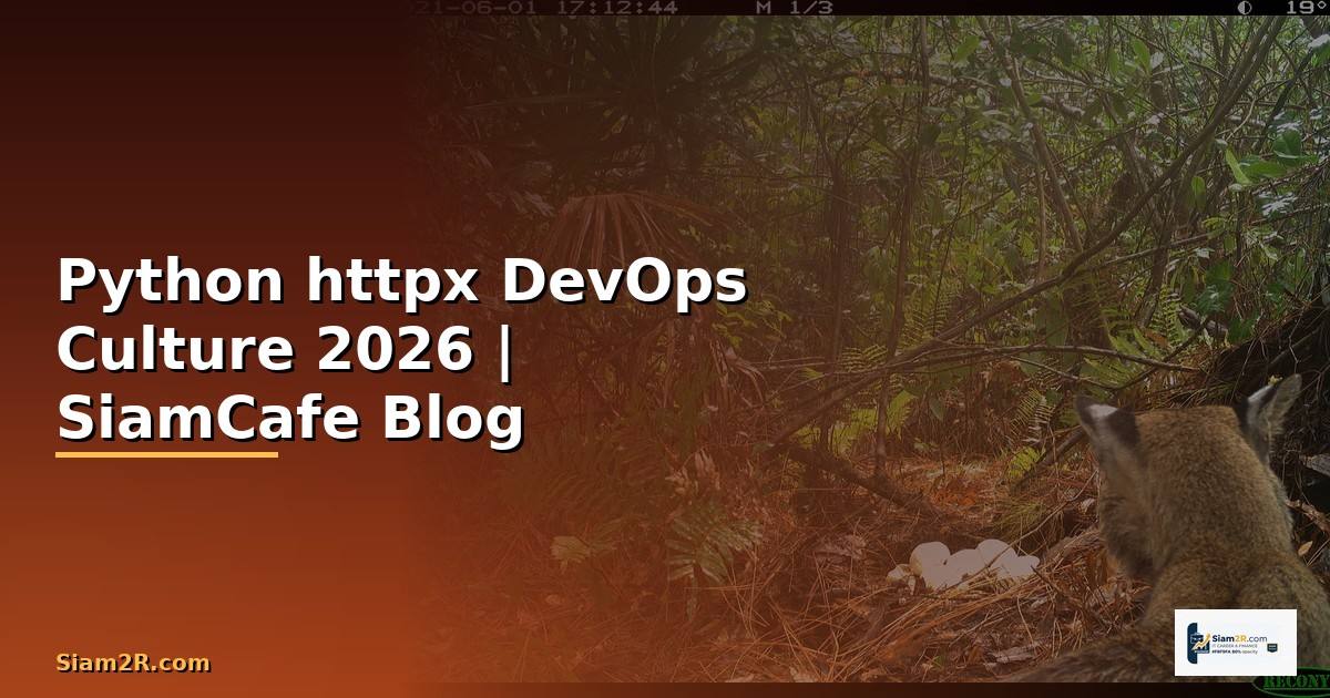Python httpx DevOps Culture