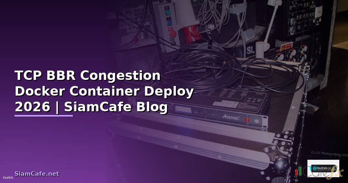 TCP BBR Congestion Docker Container Deploy