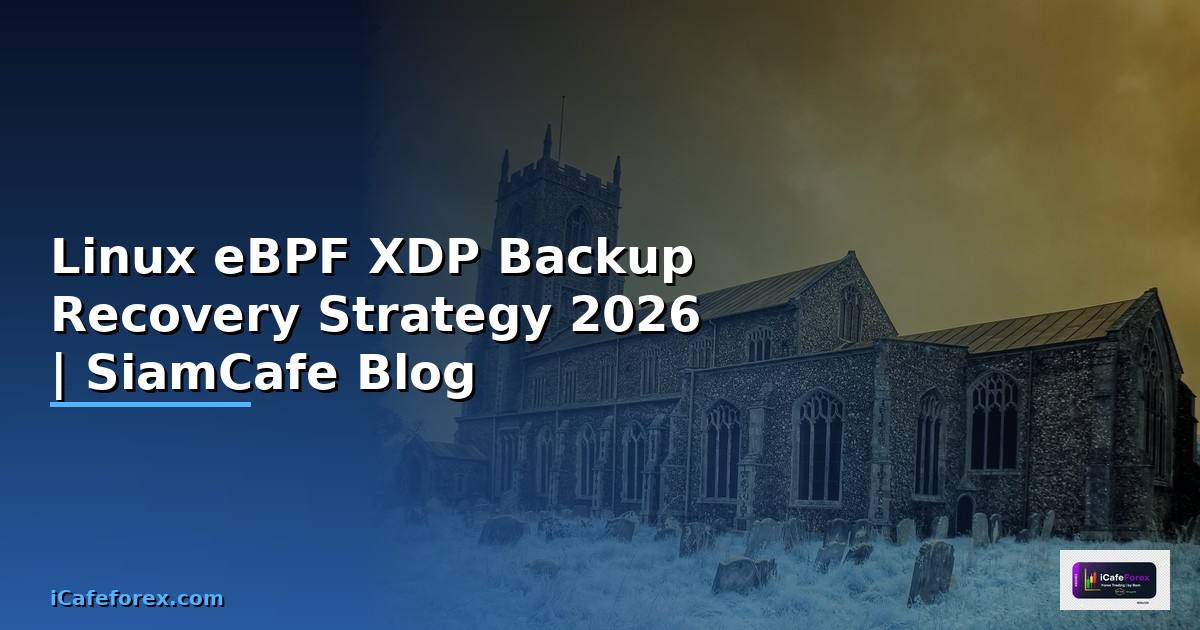 Linux eBPF XDP Backup Recovery Strategy
