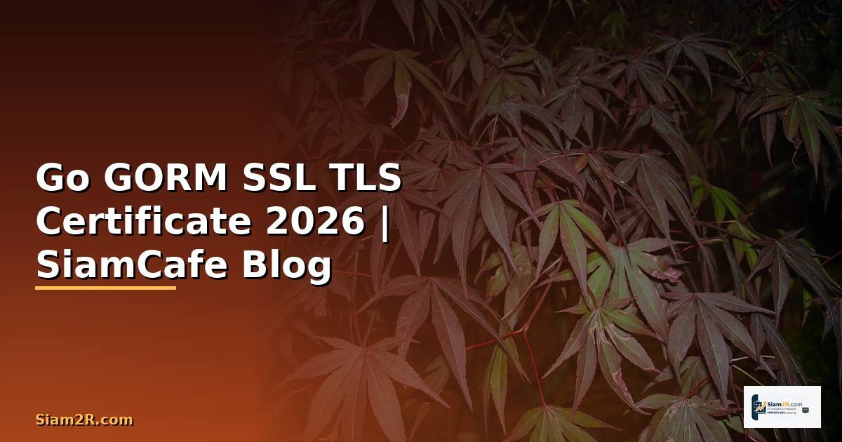 Go GORM SSL TLS Certificate