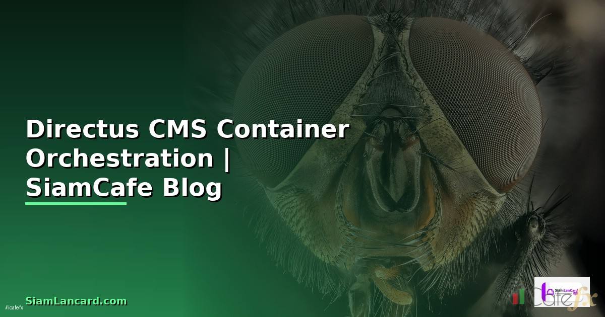Directus CMS Container Orchestration
