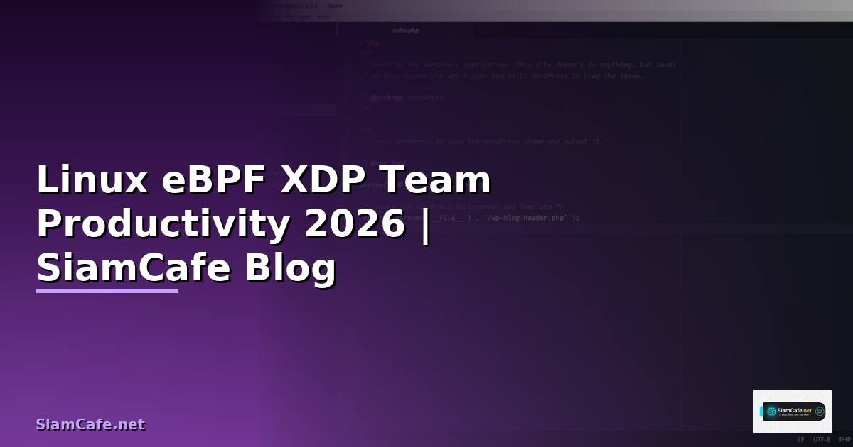 Linux eBPF XDP Team Productivity