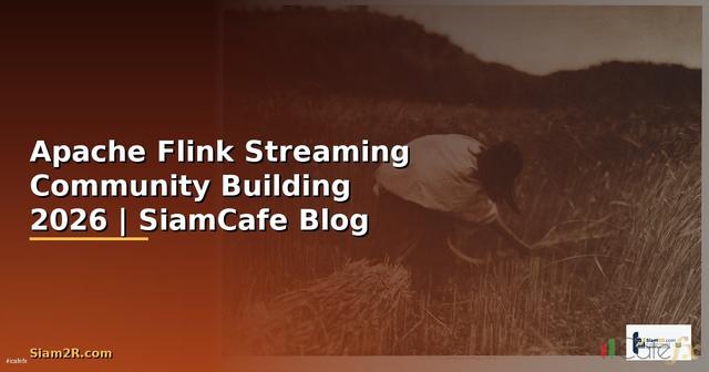 Apache Flink Streaming Community Building