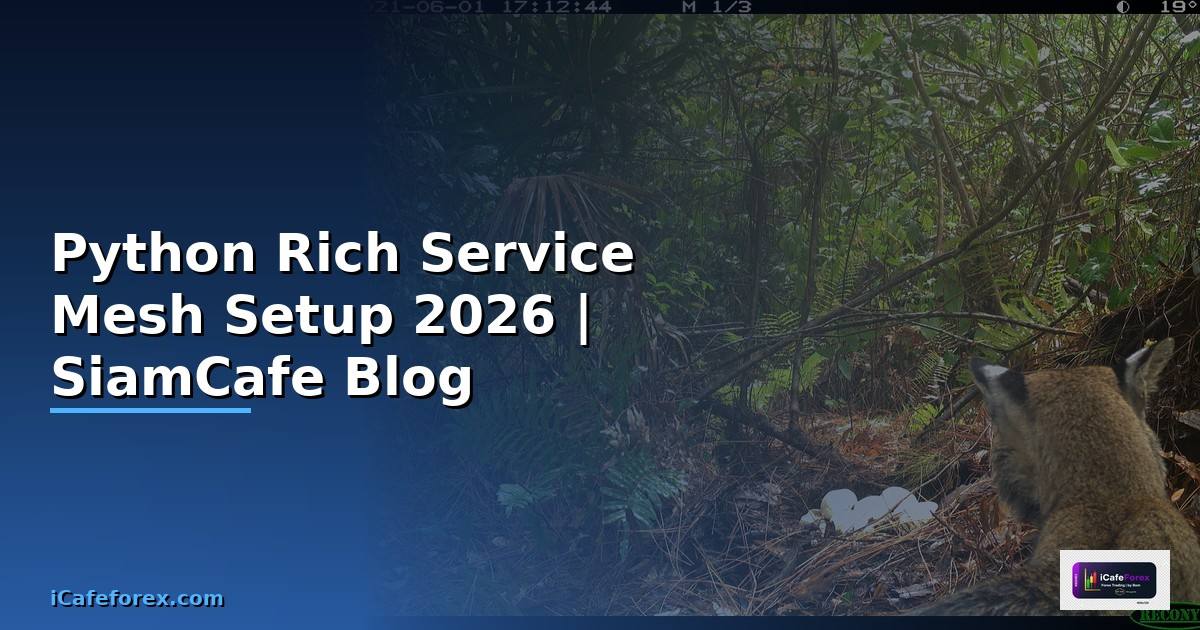 Python Rich Service Mesh Setup