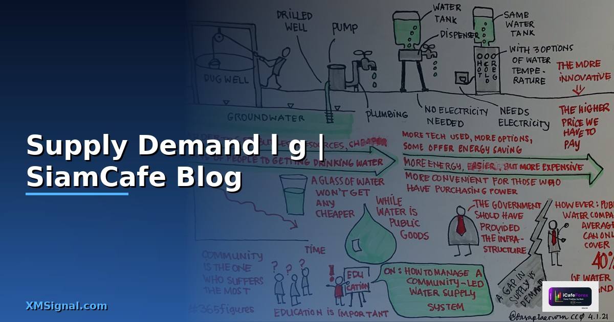 Supply Demand là gì — อุปสงค์อุปทานฉบับสมบูรณ์
