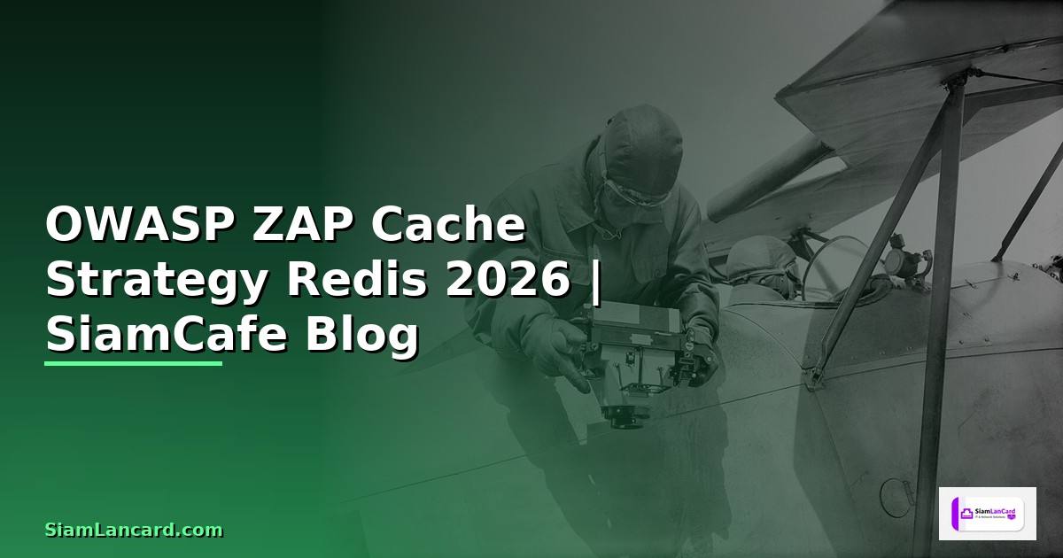 OWASP ZAP Cache Strategy Redis