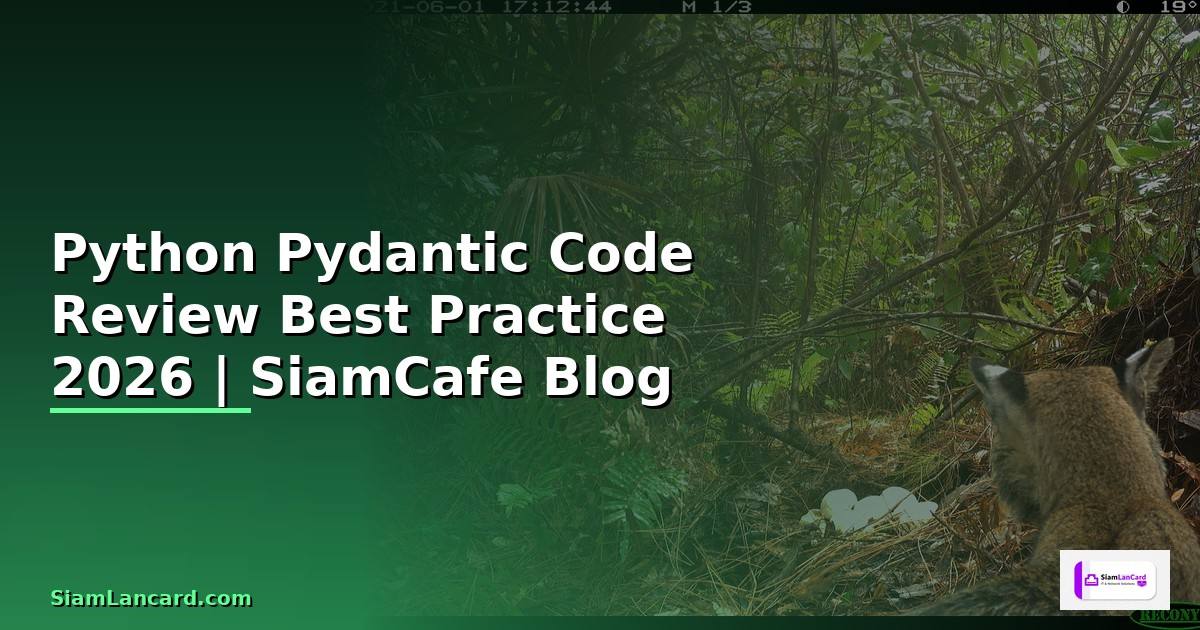 Python Pydantic Code Review Best Practice