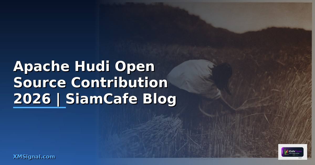 Apache Hudi Open Source Contribution