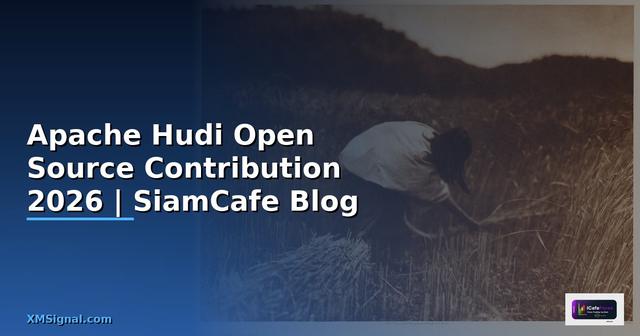 Apache Hudi Open Source Contribution