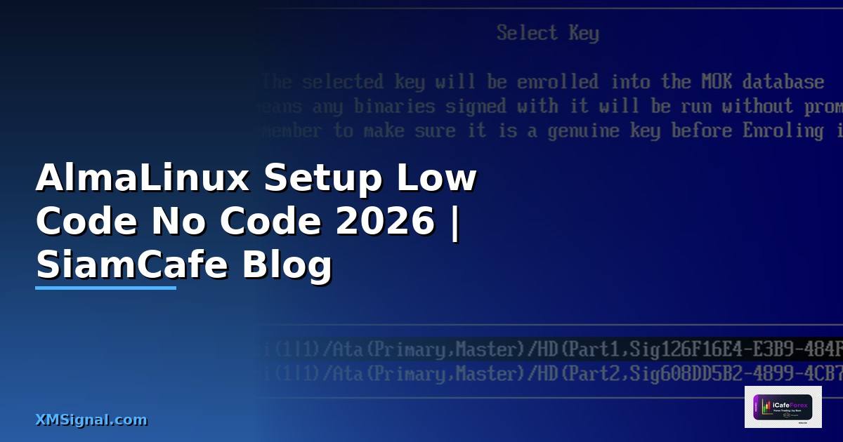 AlmaLinux Setup Low Code No Code