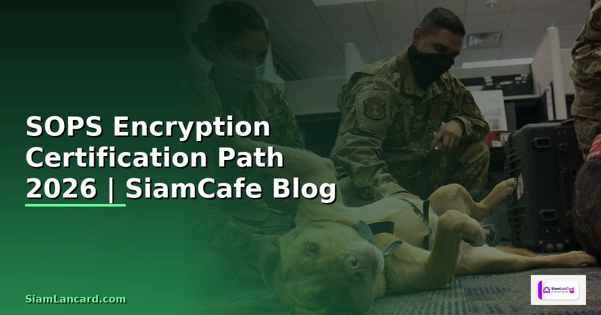 SOPS Encryption Certification Path