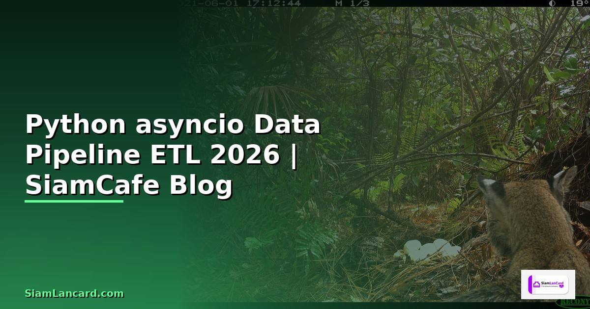 Python asyncio Data Pipeline ETL