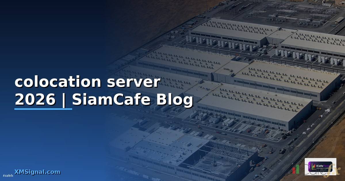 colocation server คือ