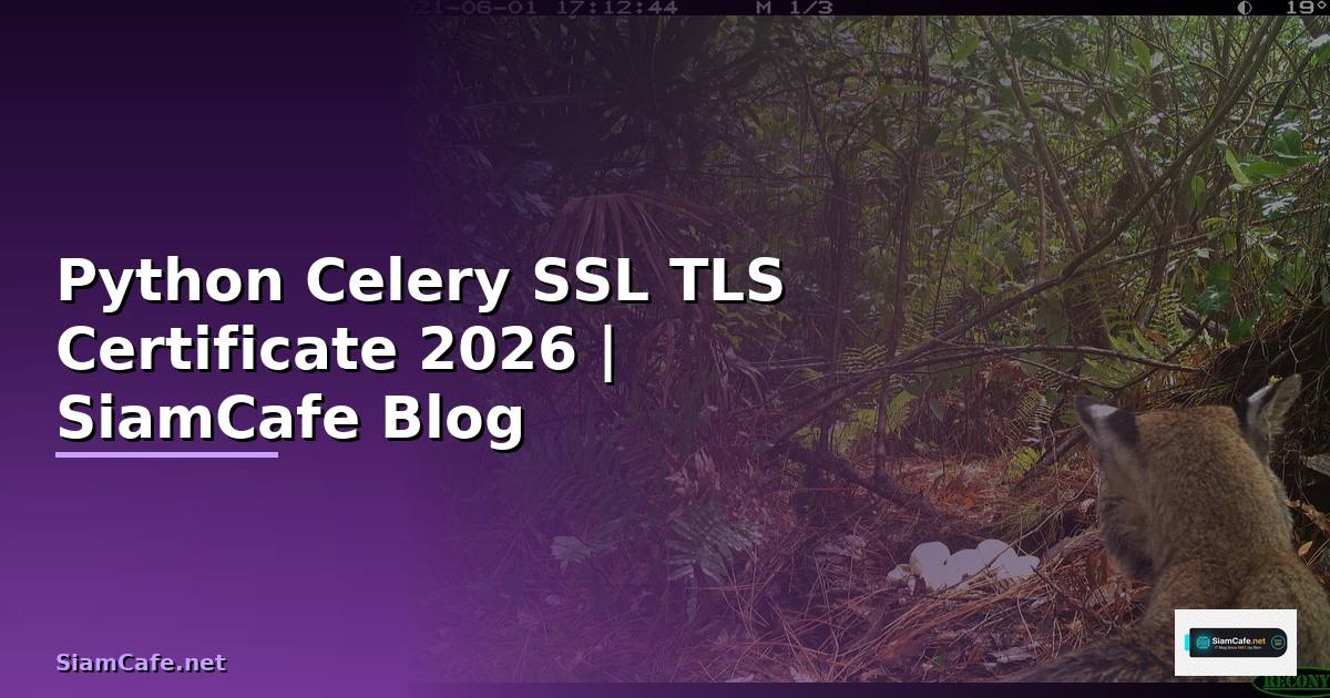 Python Celery SSL TLS Certificate