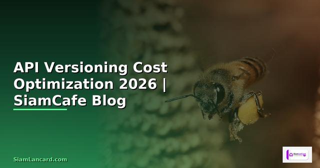 API Versioning Cost Optimization ลดค่าใช้จ่าย
