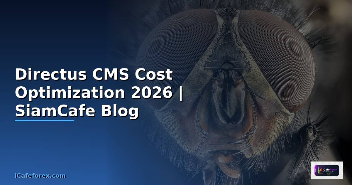 Directus CMS Cost Optimization ลดค่าใช้จ่าย — คู่มือฉบับสมบูรณ์ 2026