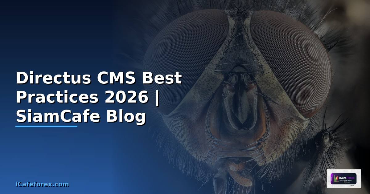 Directus CMS Best Practices ที่ต้องรู้