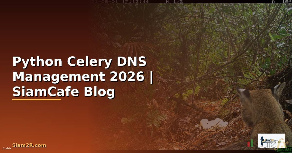 Python Celery DNS Management
