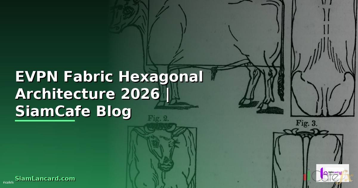 EVPN Fabric Hexagonal Architecture