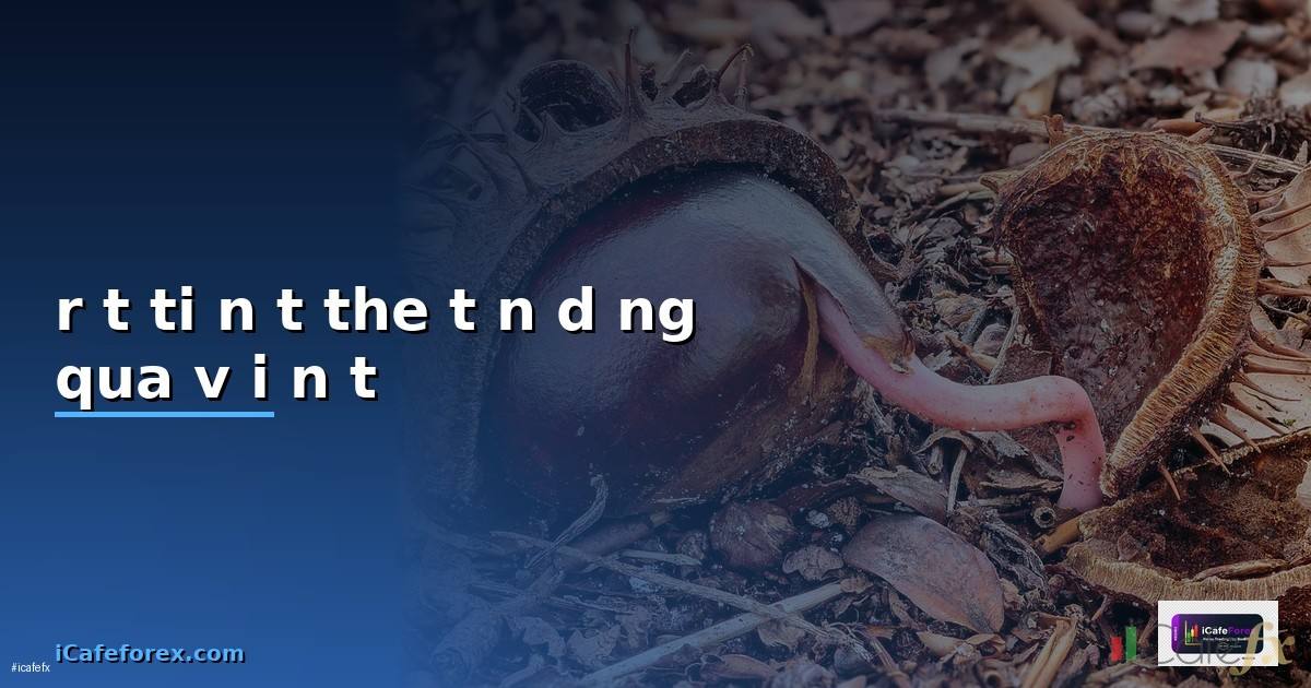 rút tiền từ the tín dụng qua ví điện tử —