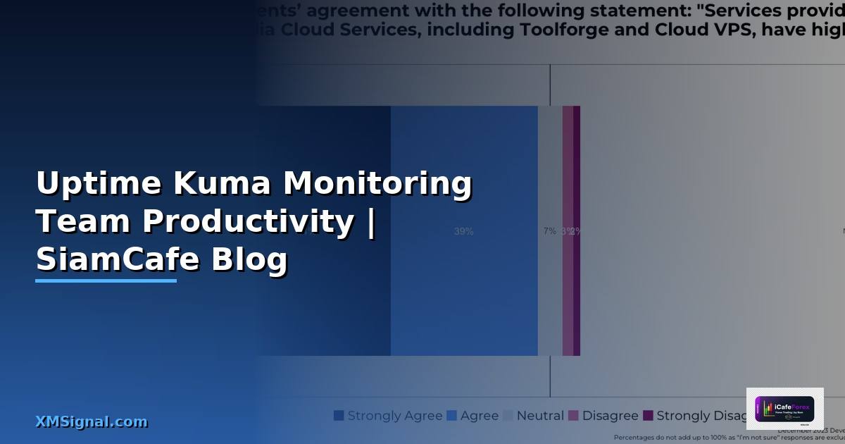 Uptime Kuma Monitoring Team Productivity