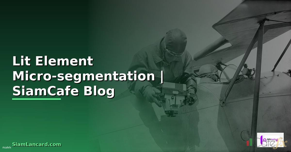 Lit Element Micro-segmentation