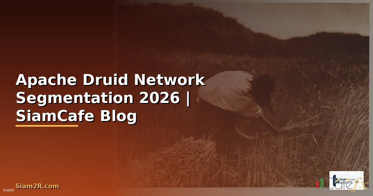 Apache Druid Network Segmentation
