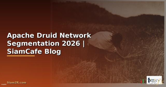 Apache Druid Network Segmentation
