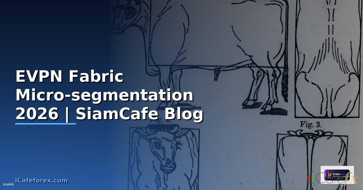 EVPN Fabric Micro-segmentation