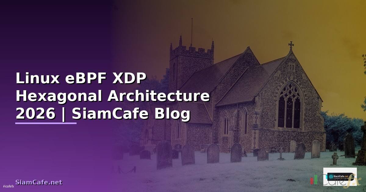 Linux eBPF XDP Hexagonal Architecture
