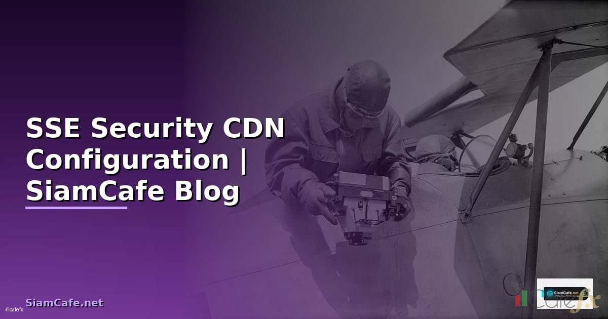 SSE Security CDN Configuration