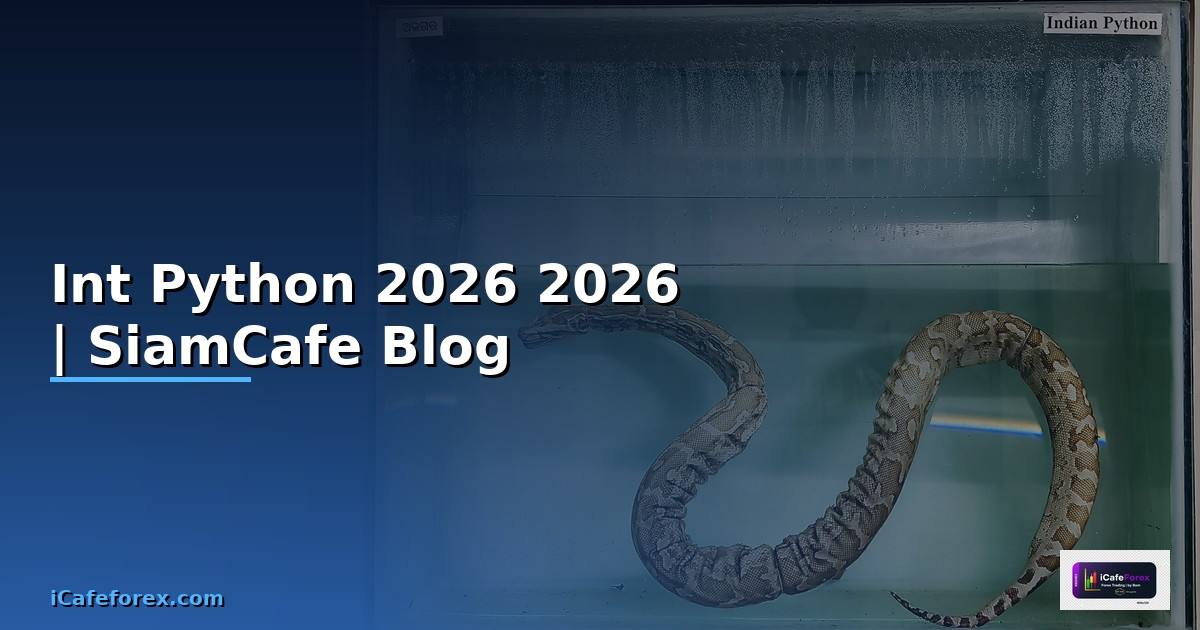 Int Python คืออะไร — คู่มือโปรแกรมมิ่ง 2026