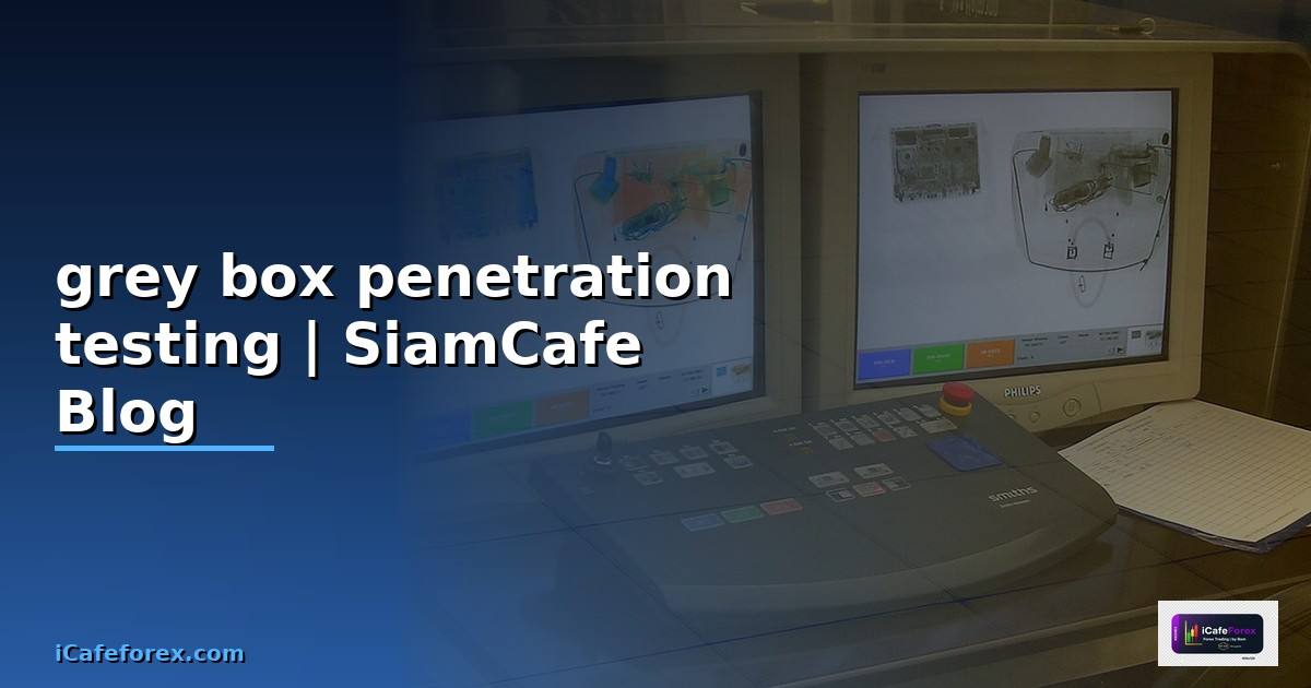 grey box penetration testing