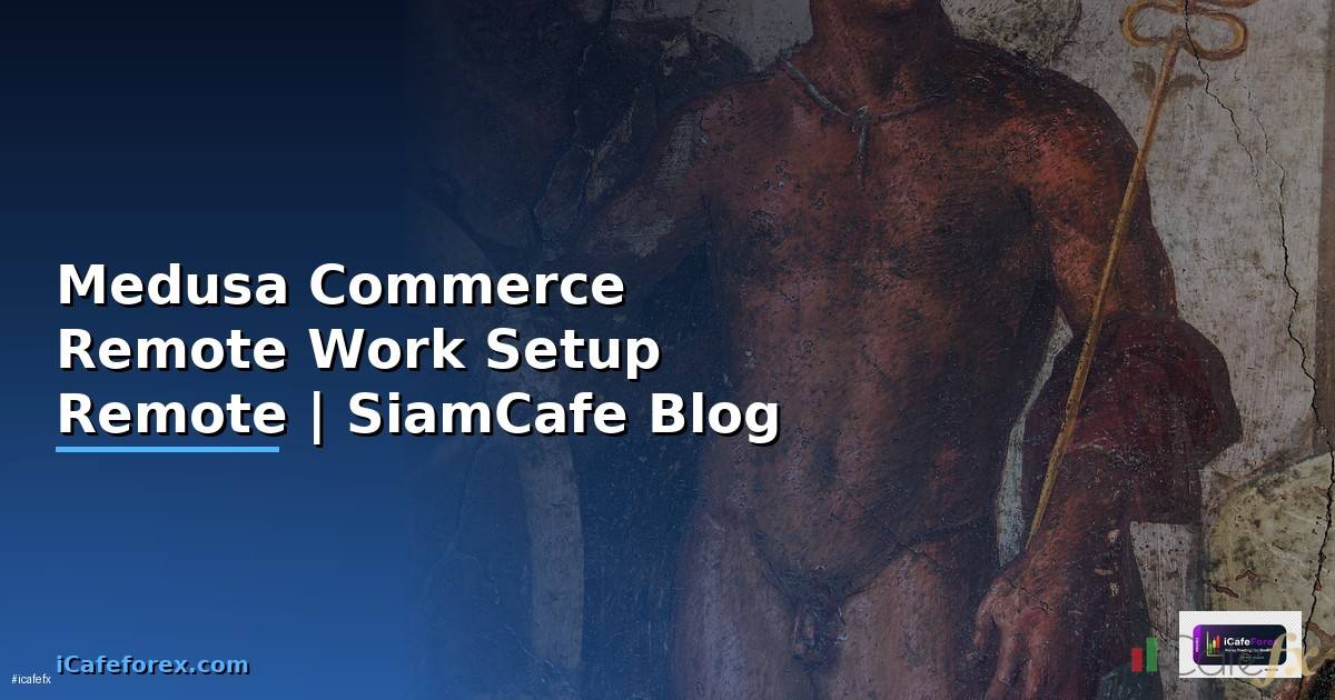 Medusa Commerce Remote Work Setup —