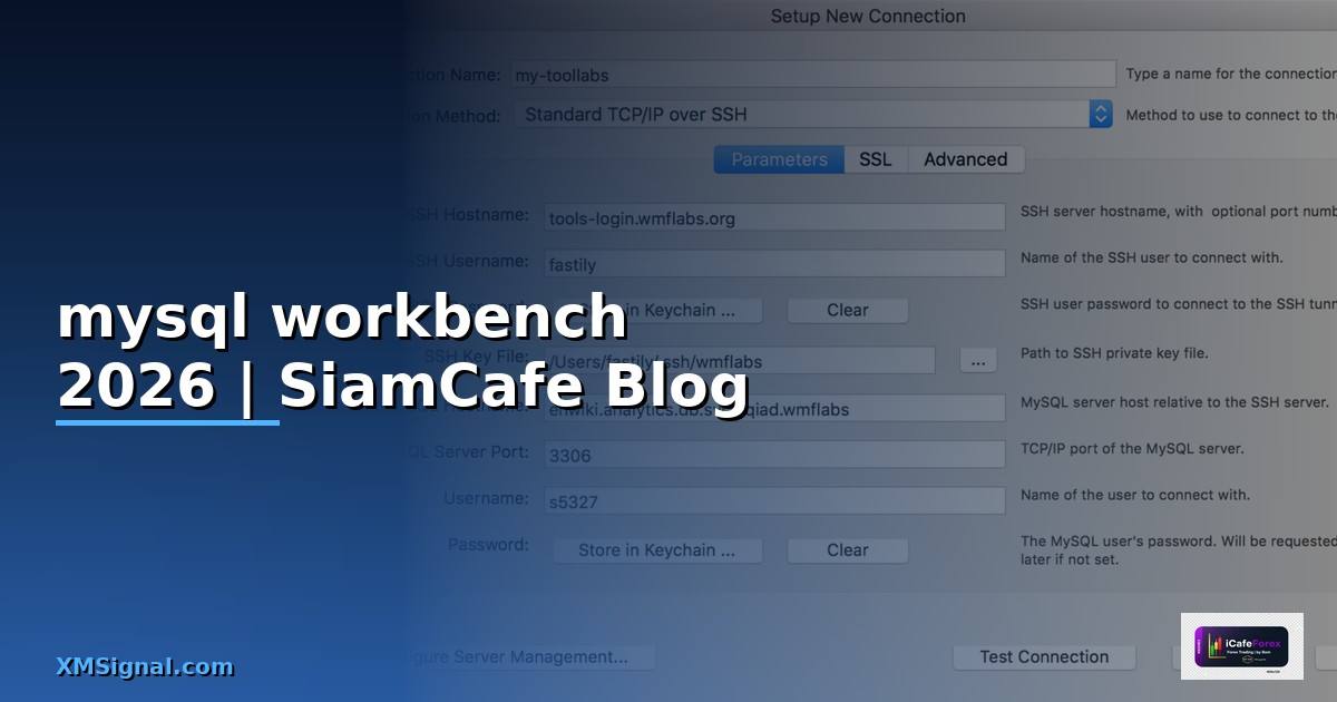 mysql workbench คือ