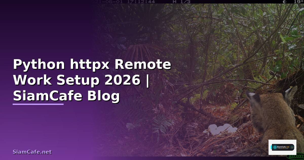 Python httpx Remote Work Setup