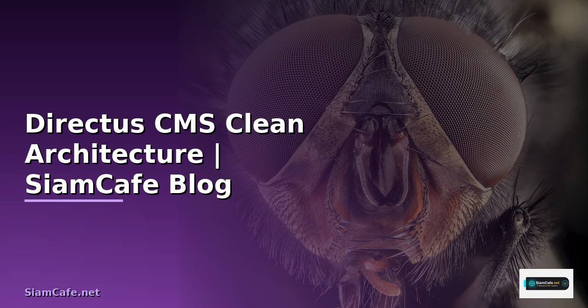 Directus CMS Clean Architecture