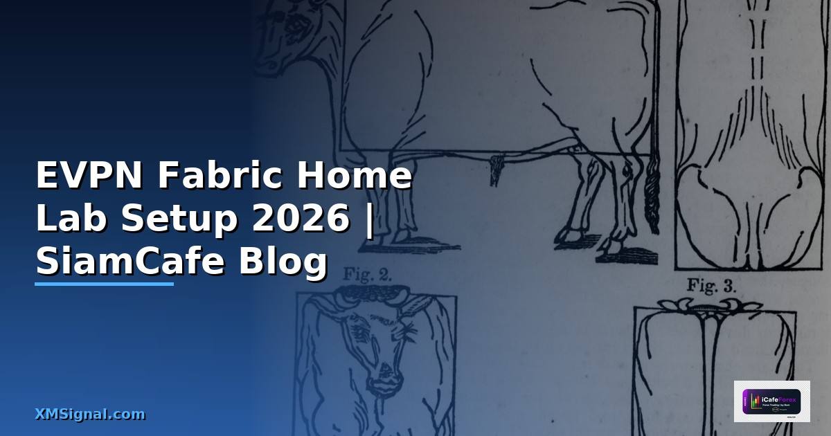 EVPN Fabric Home Lab Setup